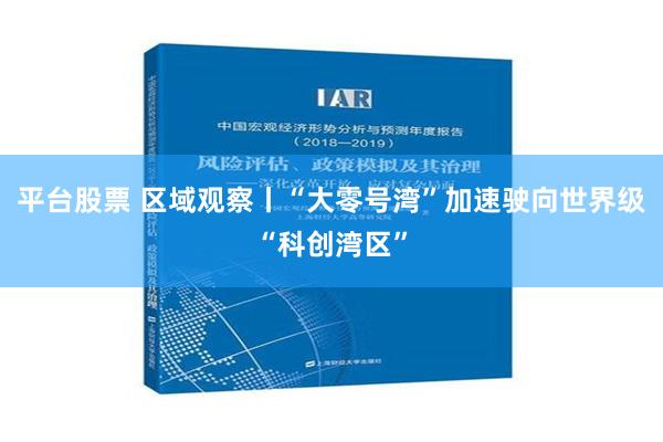 平台股票 区域观察丨“大零号湾”加速驶向世界级“科创湾区”