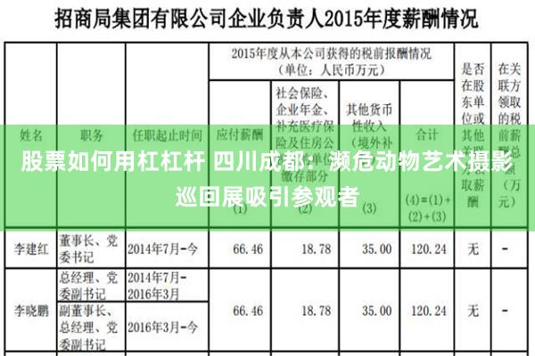 股票如何用杠杠杆 四川成都：濒危动物艺术摄影巡回展吸引参观者