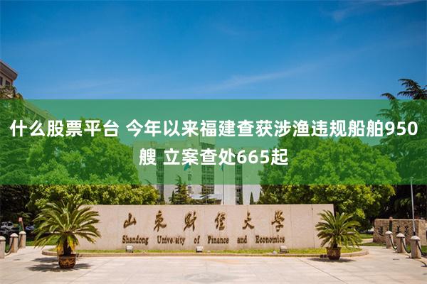 什么股票平台 今年以来福建查获涉渔违规船舶950艘 立案查处665起