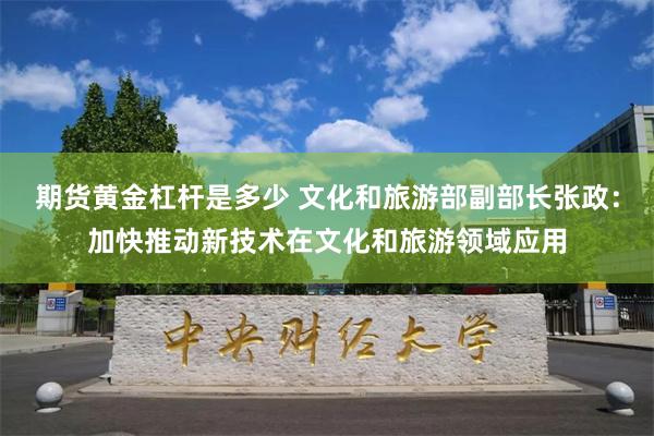 期货黄金杠杆是多少 文化和旅游部副部长张政：加快推动新技术在文化和旅游领域应用