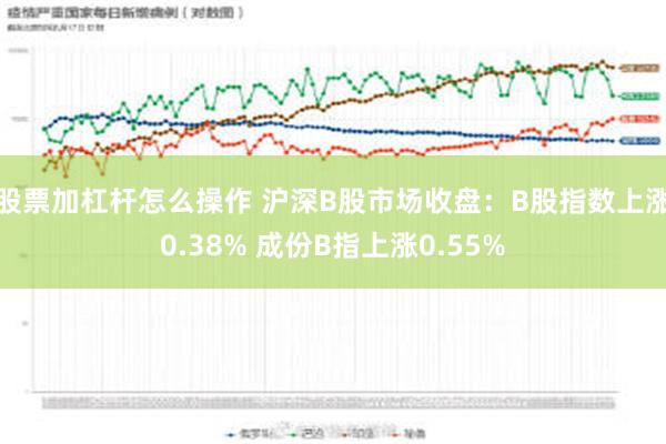 股票加杠杆怎么操作 沪深B股市场收盘：B股指数上涨0.38% 成份B指上涨0.55%