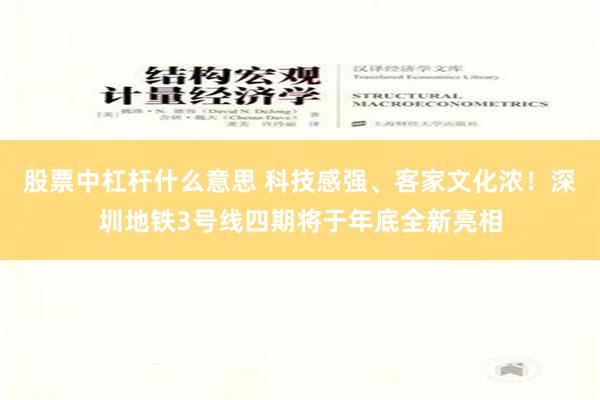 股票中杠杆什么意思 科技感强、客家文化浓！深圳地铁3号线四期将于年底全新亮相