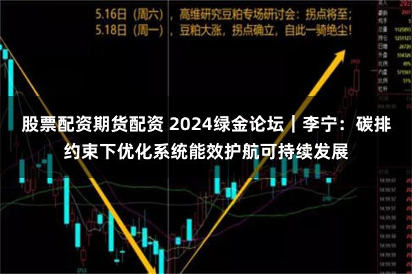 股票配资期货配资 2024绿金论坛｜李宁：碳排约束下优化系统能效护航可持续发展