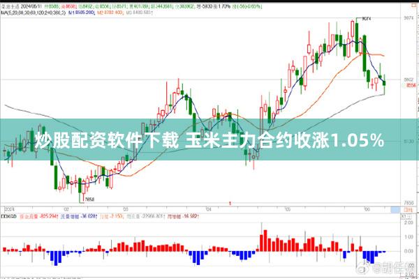 炒股配资软件下载 玉米主力合约收涨1.05%