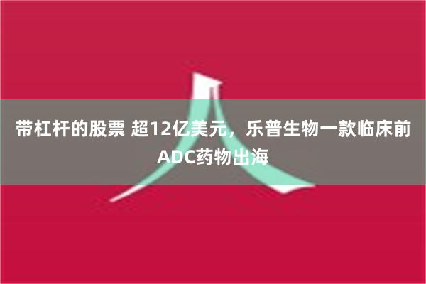 带杠杆的股票 超12亿美元，乐普生物一款临床前ADC药物出海