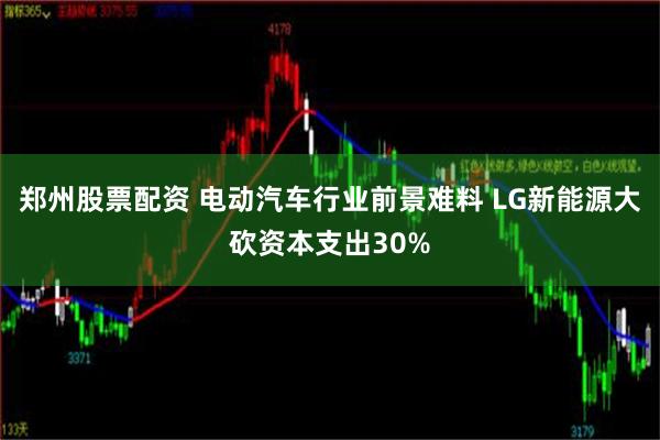 郑州股票配资 电动汽车行业前景难料 LG新能源大砍资本支出30%