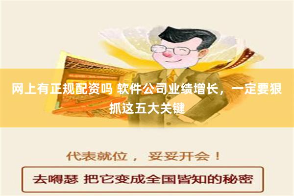 网上有正规配资吗 软件公司业绩增长，一定要狠抓这五大关键