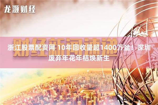 浙江股票配资网 10年回收量超1400万盆！深圳废弃年花年桔焕新生